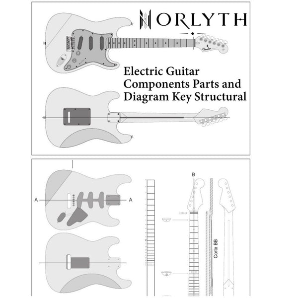 Electric Guitar Parts Diagram Guide Core Structure Zones Headstock Neck Body