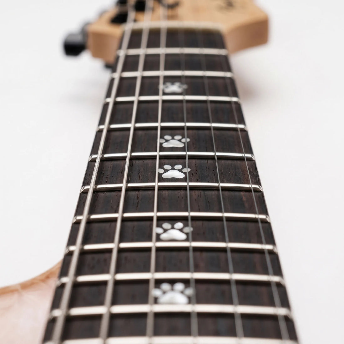 Close-up of a guitar neck with a dark fretboard and silver metal frets, featuring white paw-print inlays along the fingerboard. The light wood headstock is blurred in the background against a white studio backdrop.